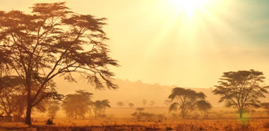 -Africa_des-africa